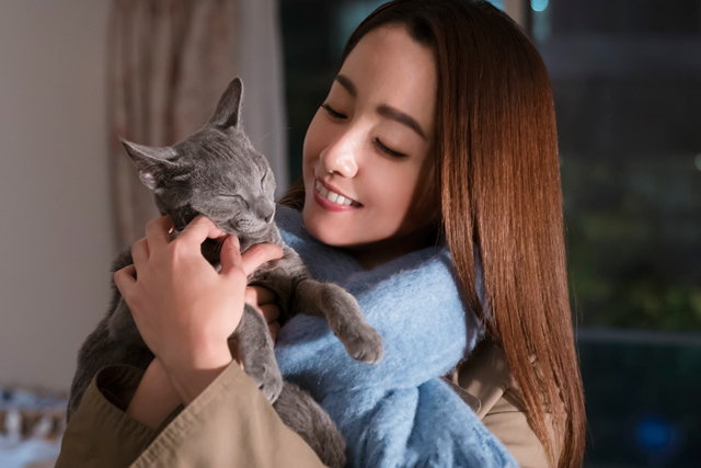 映画『猫は抱くもの』第21回上海国際映画祭正式出品決定！日本映画で唯一コンペティション部門入選